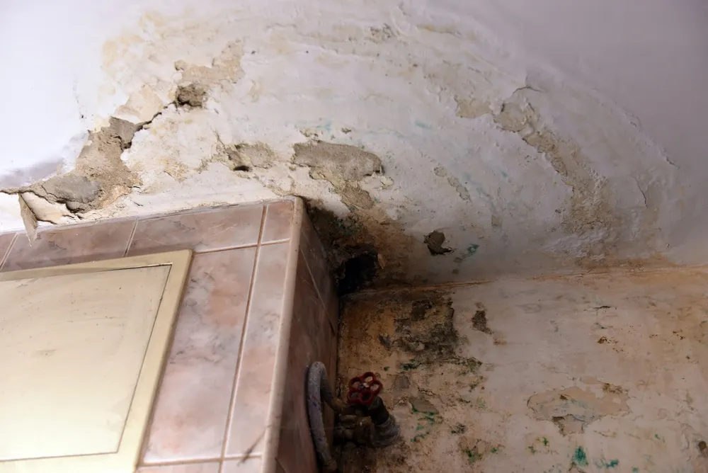 Angle de mur et de plafond abîmés par l'humidité, avec enduit écaillé, taches brunes et moisissures, près d'un coffrage carrelé et d'un robinet d'arrêt rouge