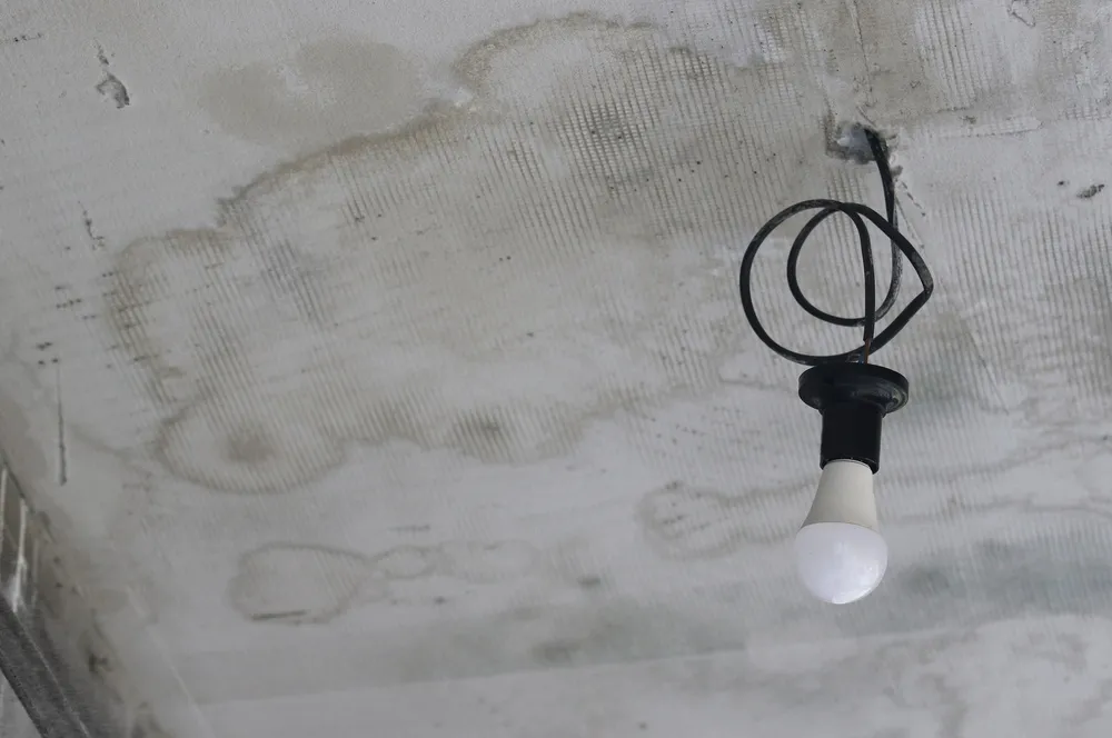 Plafond en béton présentant de grandes taches d'humidité sombres, avec une ampoule suspendue à un fil électrique noir