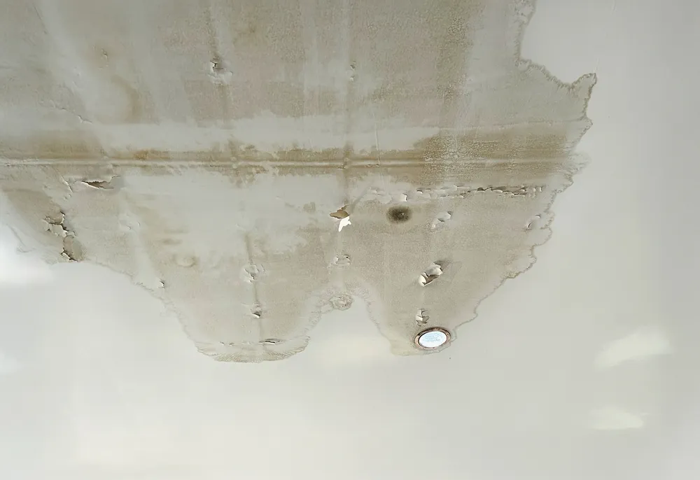 Plafond blanc marqué par une large tache d'humidité jaunâtre, avec de la peinture qui s'écaille et un spot encastré