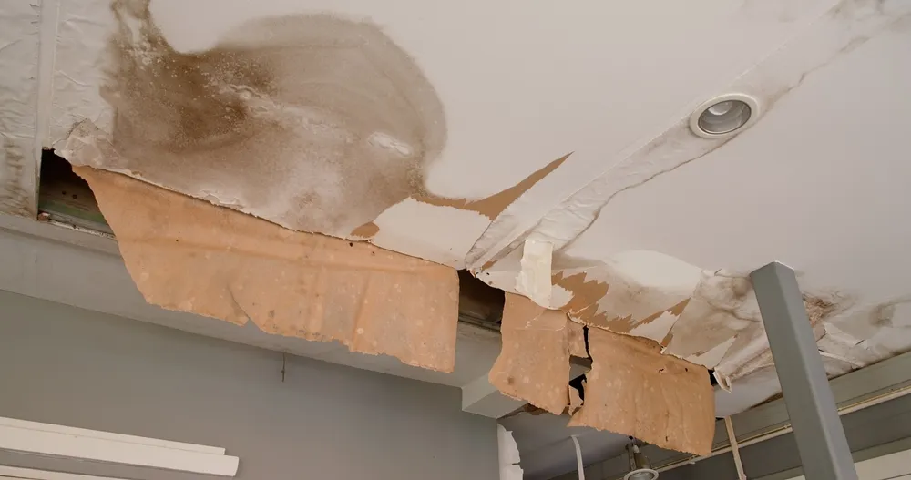 Plafond d'une pièce abîmé par l'humidité, avec une grande tache brune, de la peinture écaillée et des pans de revêtement décollés